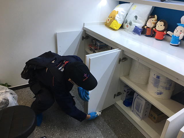 裝修完快速除甲醛的好方法是什么?怎么除甲醛？